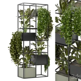 Indoor plants in rusty concrete pot on metal shelf